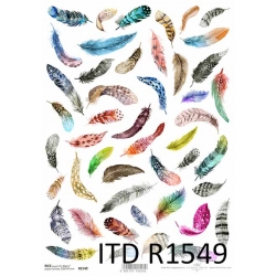 Papier ryżowy ITD A4 R1549, piórka